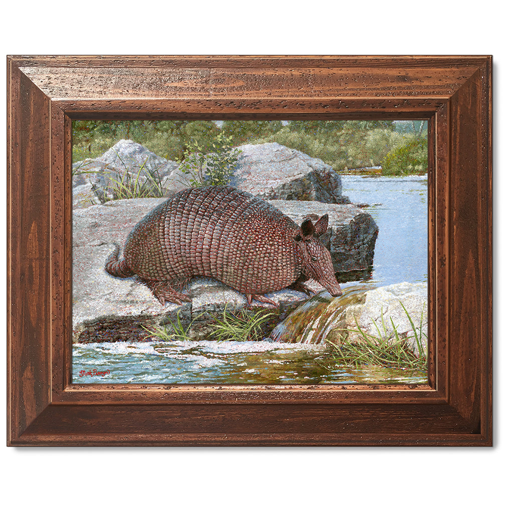 canvas print in a brown wood frame depicting a country landscape
with an armadillo crossing a creek