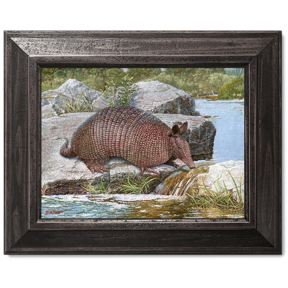 canvas print in a black wood frame depicting a country landscape
with an armadillo crossing a creek