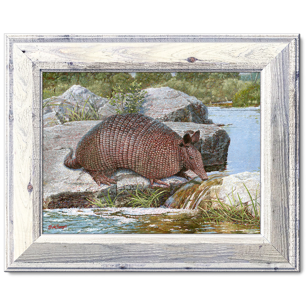 canvas print in a white wood frame depicting a country landscape
with an armadillo crossing a creek
