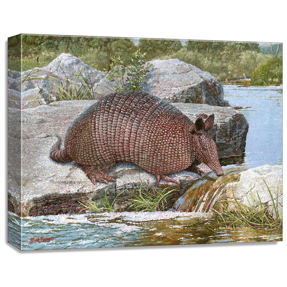 gallery wrapped print on canvas
depicting a country landscape
with an armadillo crossing a creek