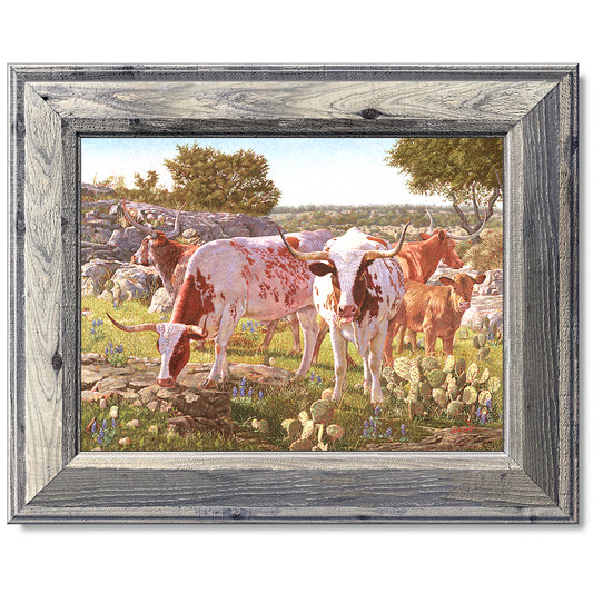canvas print in a grey wood frame depicting a five longhorns
standing in a circle within a hill country landscape