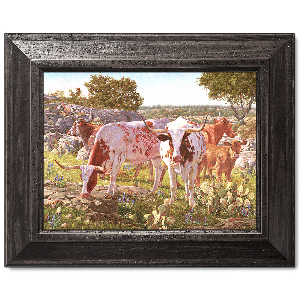 canvas print in a black wood frame depicting a five longhorns standing in a circle within a hill country landscape