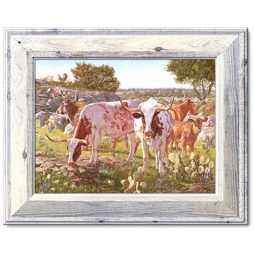 canvas print in a white wood frame depicting a five longhorns
standing in a circle within a hill country landscape