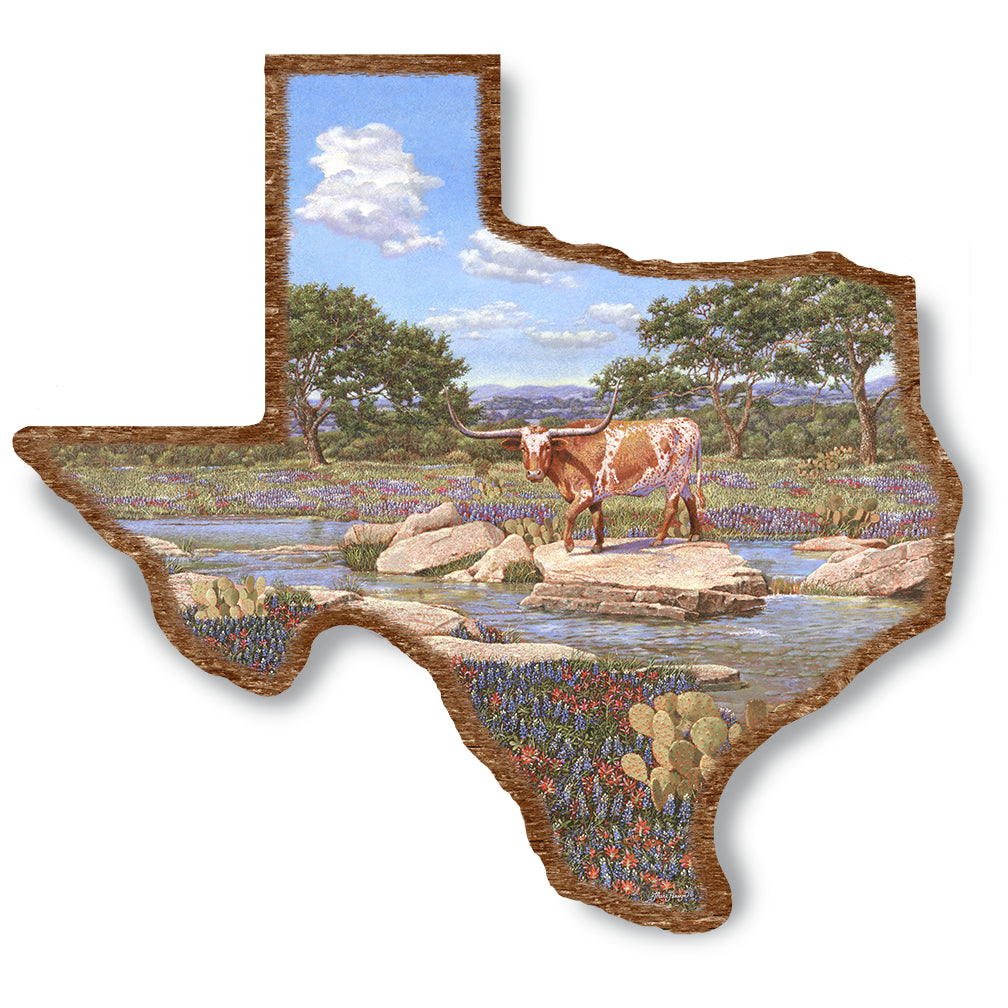 Texas Longhorn And Wildflowers On Wood Texas