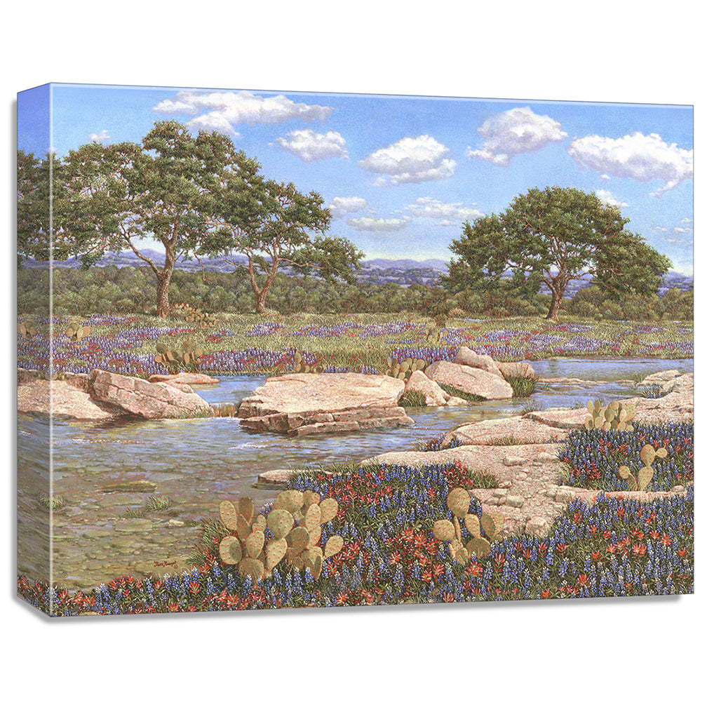 gallery wrapped print on canvas
depicting a country creek
landscape with the wildflowers bluebonnets and Indian paintbrushes