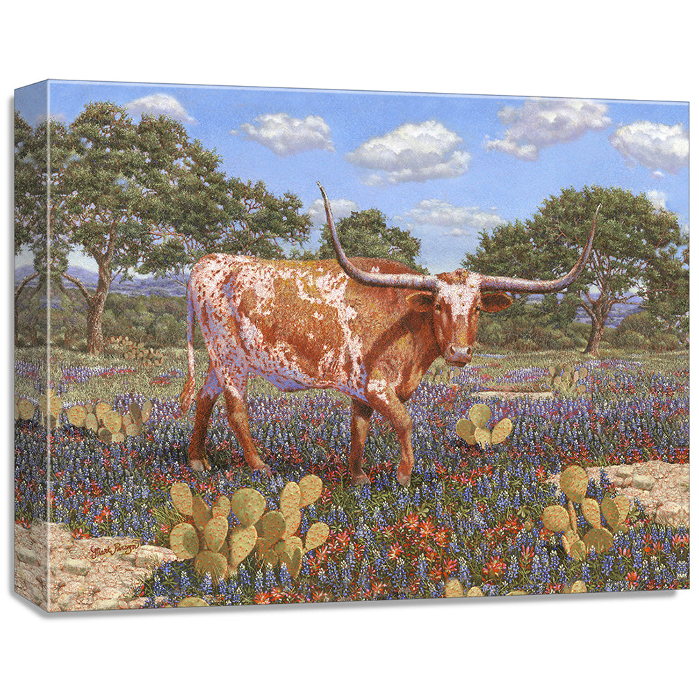 gallery wrapped print on canvas
depicting a longhorn standing
in a country landscape with a texas shape on his side