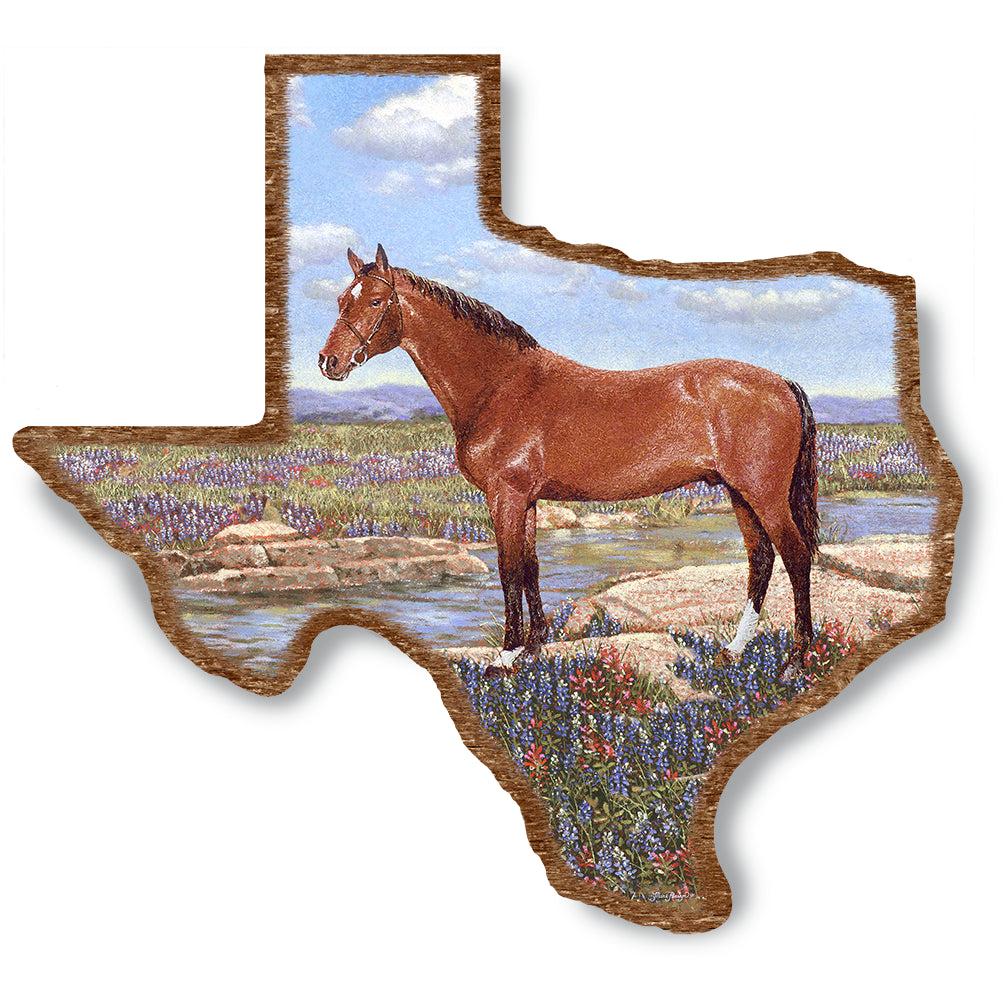 Thoroughbred on Wood Texas