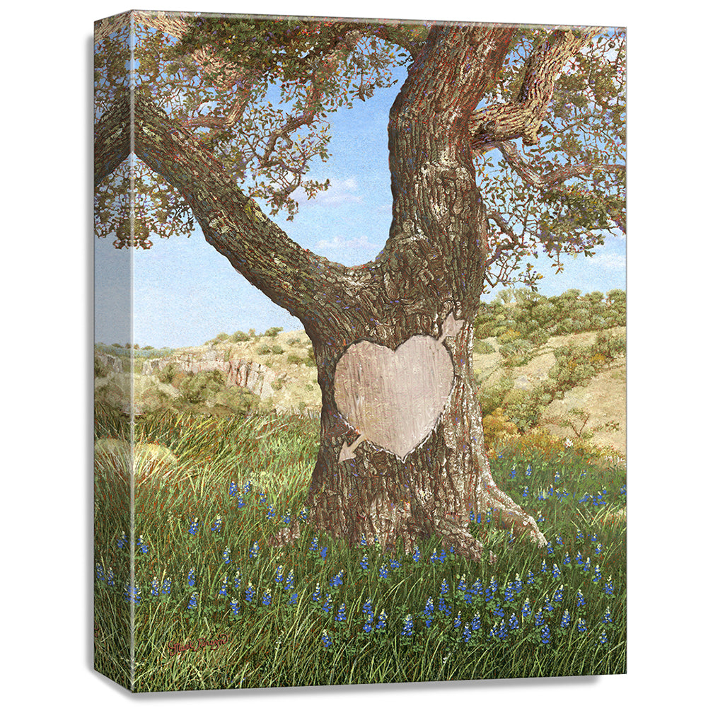 gallery wrapped print on canvas
depicting an ancient oak tree
with a carved heart in a field of bluebonnets