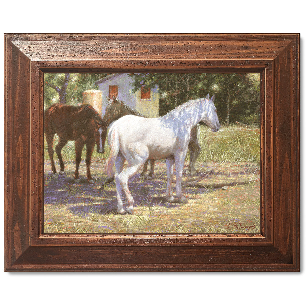 canvas print in a brown wood frame depicting a white horse
standing under a tree for shade in a rustic landscape