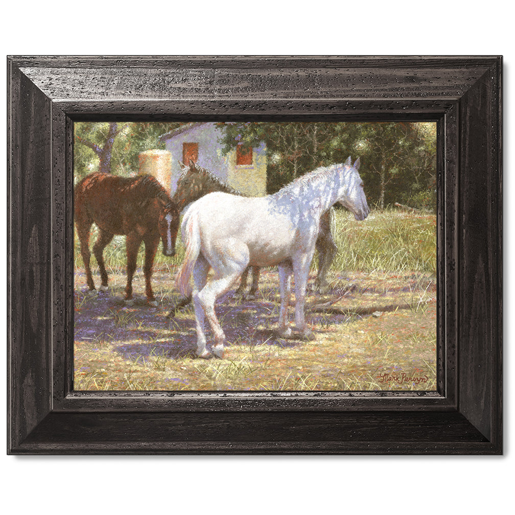 canvas print in a black wood frame depicting a white horse
standing under a tree for shade in a rustic landscape