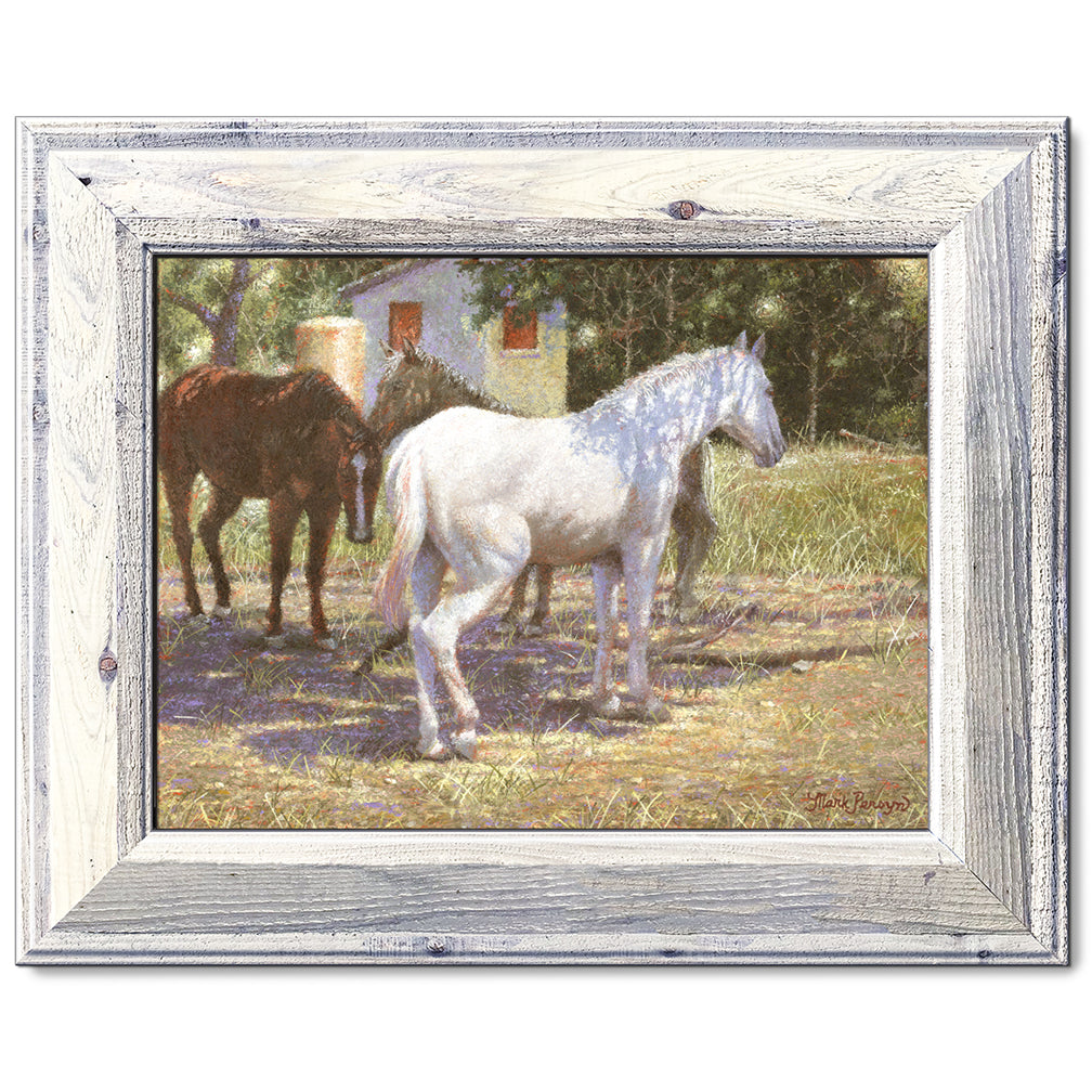 canvas print in a white wood frame depicting a white horse
standing under a tree for shade in a rustic landscape