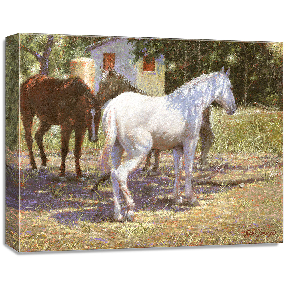 gallery wrapped print on canvas
depicting a white horse
standing under a tree for shade in a rustic landscape