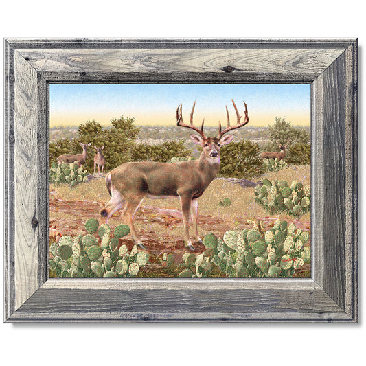 canvas print in a grey wood frame depicting a whitetail deer buck
with large antlers standing in a field with other deer