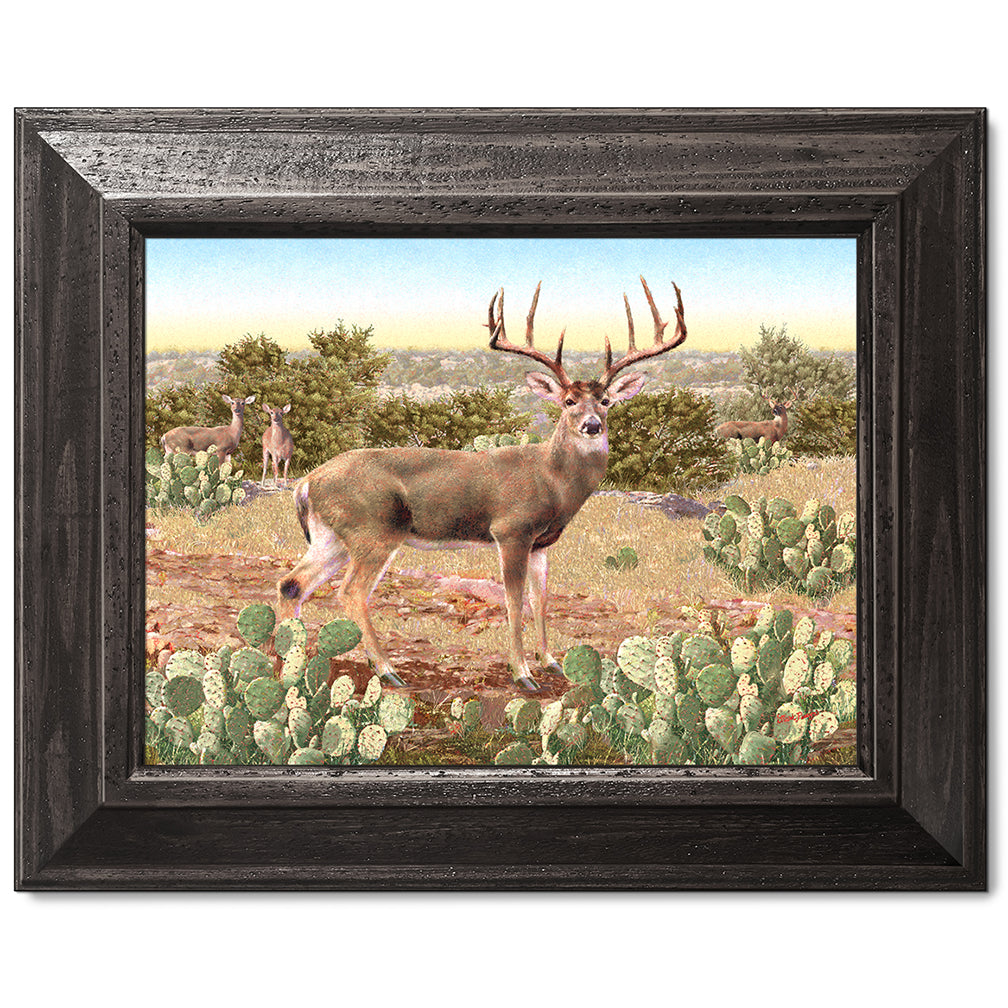 canvas print in a black wood frame depicting a whitetail deer buck
with large antlers standing in a field with other deer