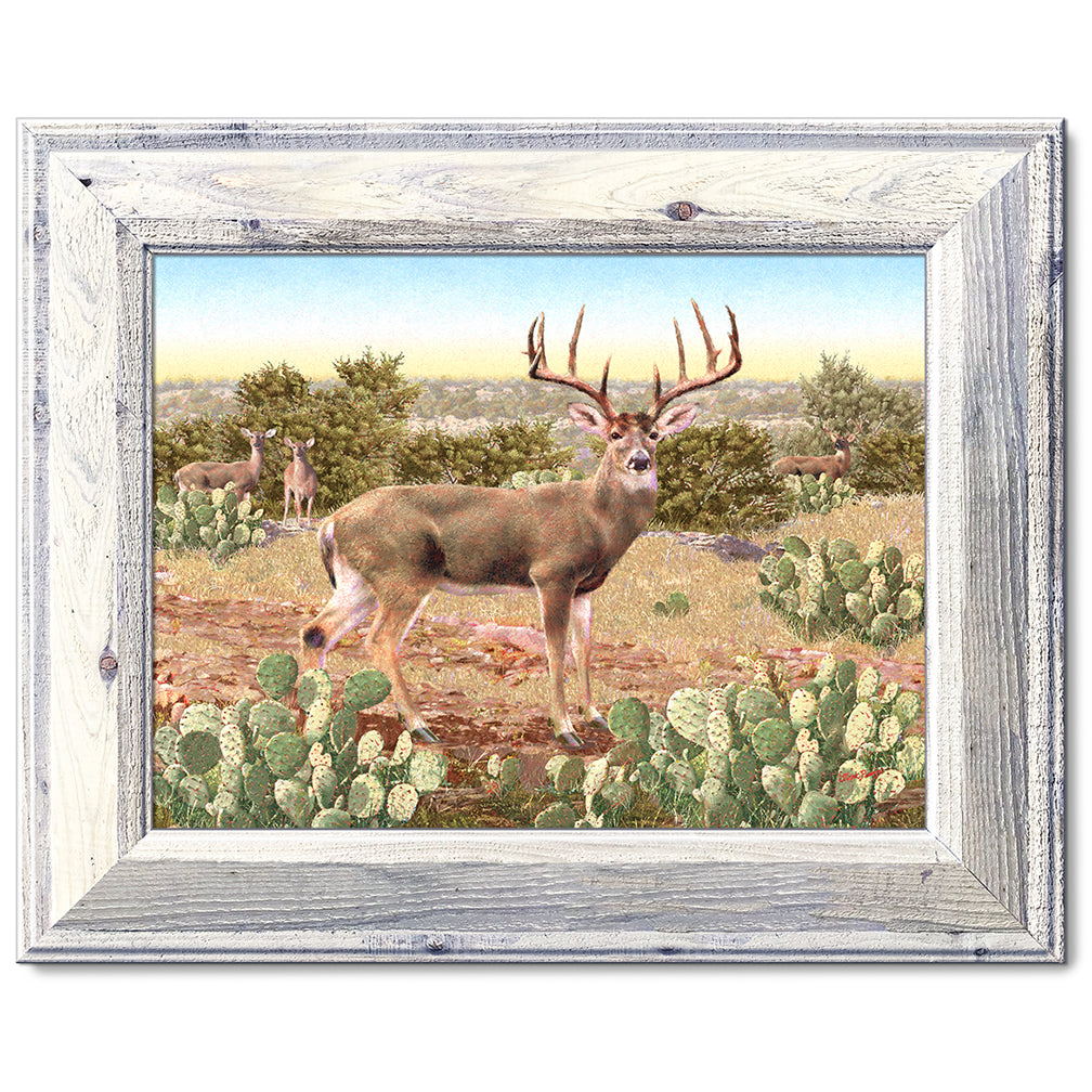 canvas print in a white wood frame depicting a whitetail deer buck
with large antlers standing in a field with other deer