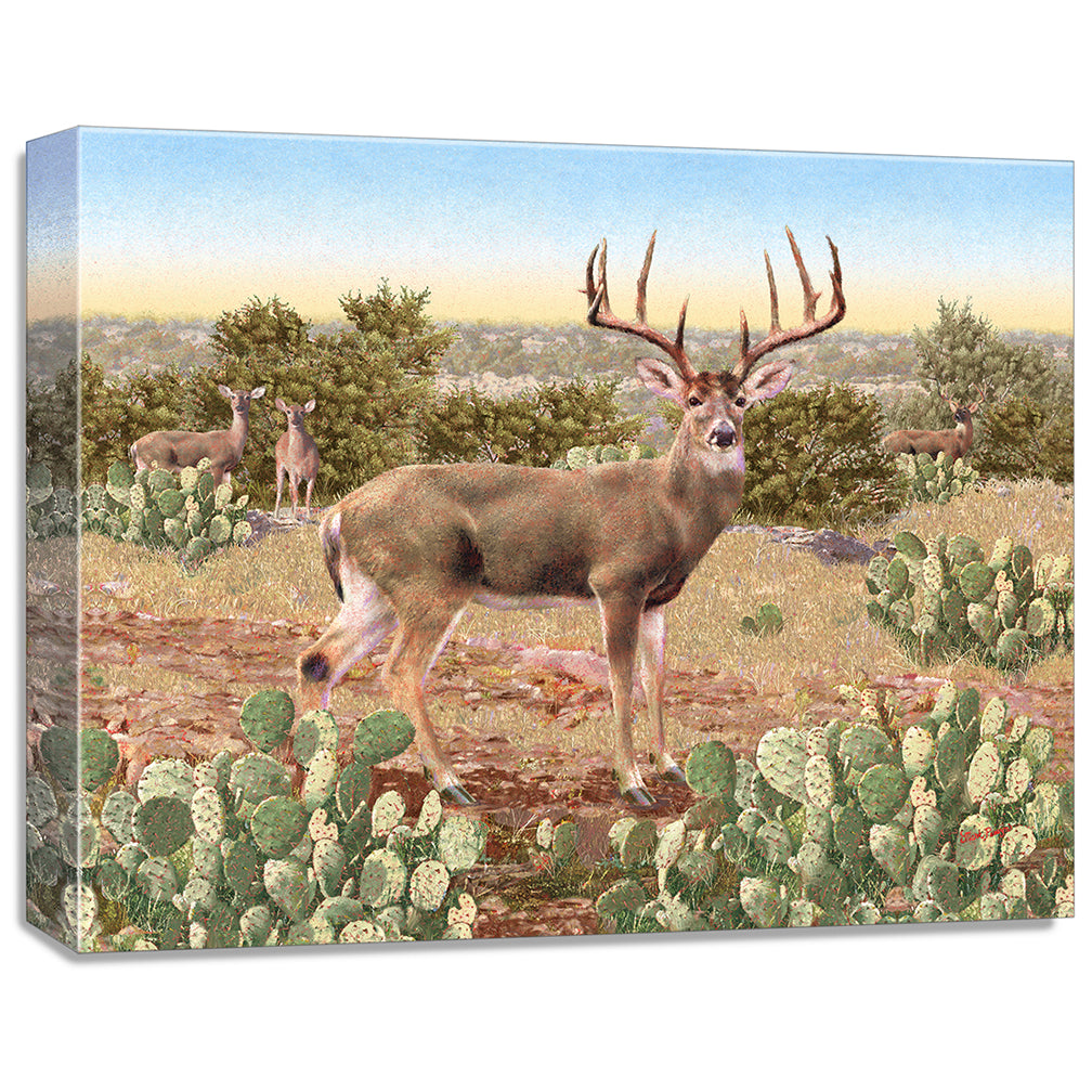 gallery wrapped print on canvas
depicting a whitetail deer buck
with large antlers standing in a field with other deer