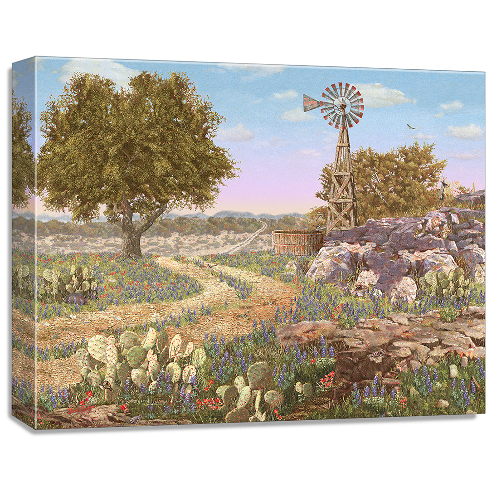 gallery wrapped print on canvas
depicting a hill country landscape
with wildflowers, cactus, windmill and eleven hidden animals