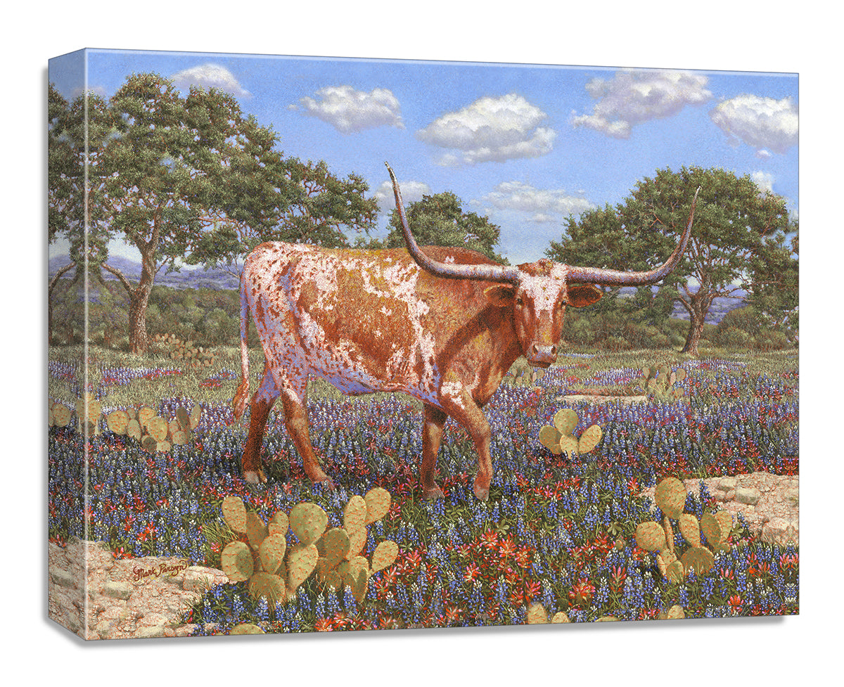 The Texas Longhorn