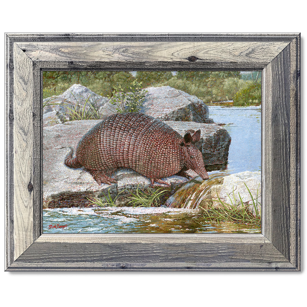 canvas print in a grey wood frame depicting a country landscape
with an armadillo crossing a creek 