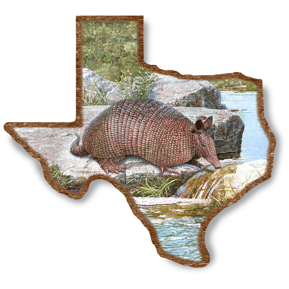 Armadillo On Wood Texas