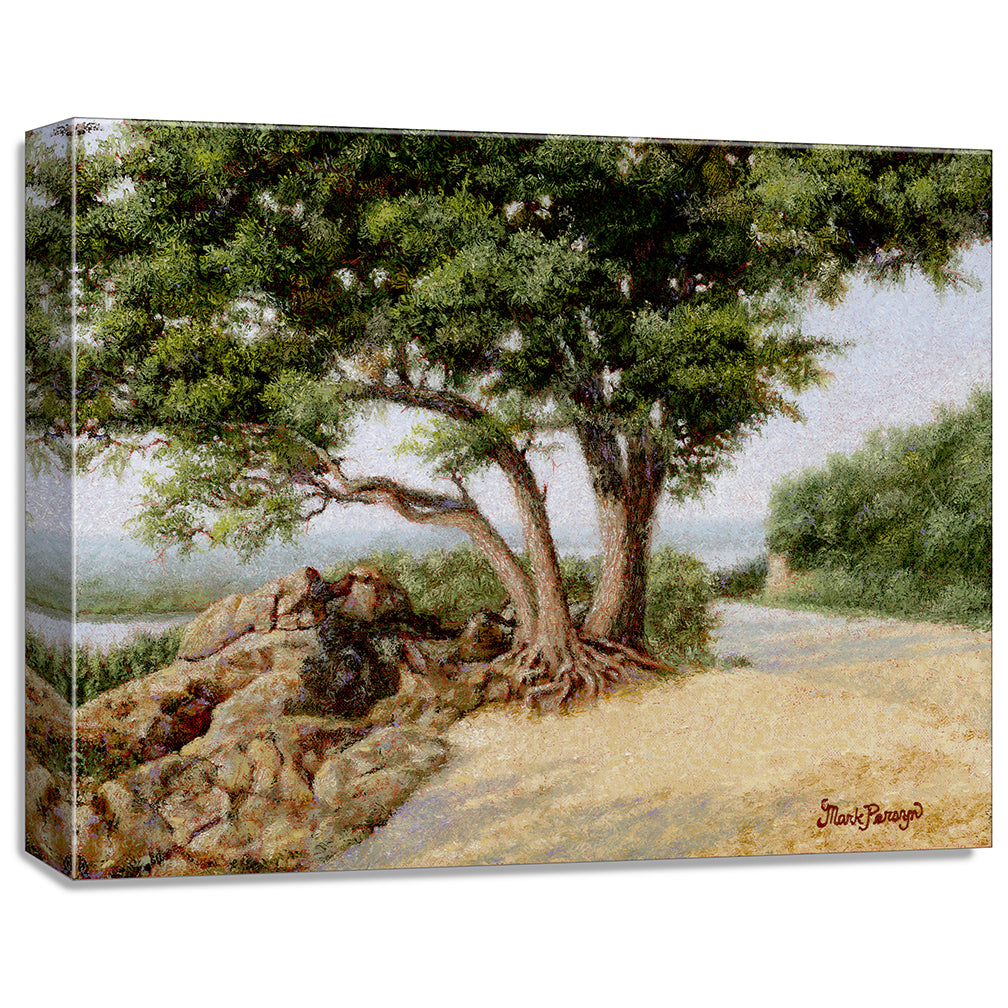 gallery wrapped print on canvas
depicting a large oak tree
next to a country road