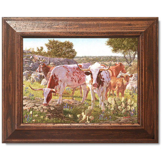 canvas print in a brown wood frame depicting a five longhorns
standing in a circle within a hill country landscape