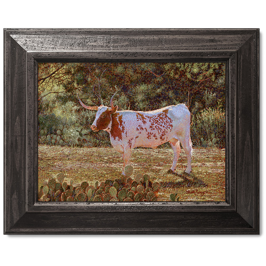 canvas print in a black wood frame depicting a backlit longhorn
standing in a field near kingsland, texas