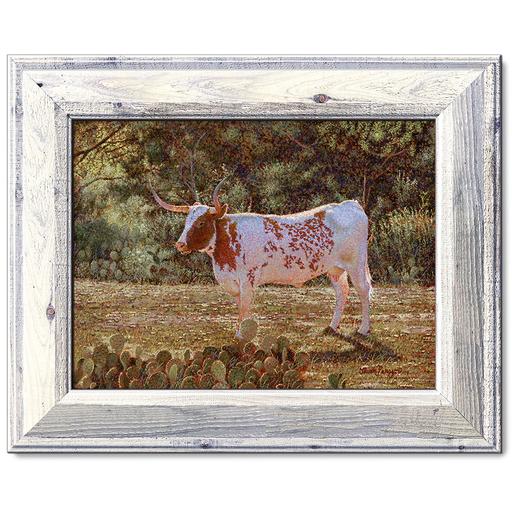 canvas print in a white wood frame depicting a backlit longhorn standing in a field near kingsland, texas