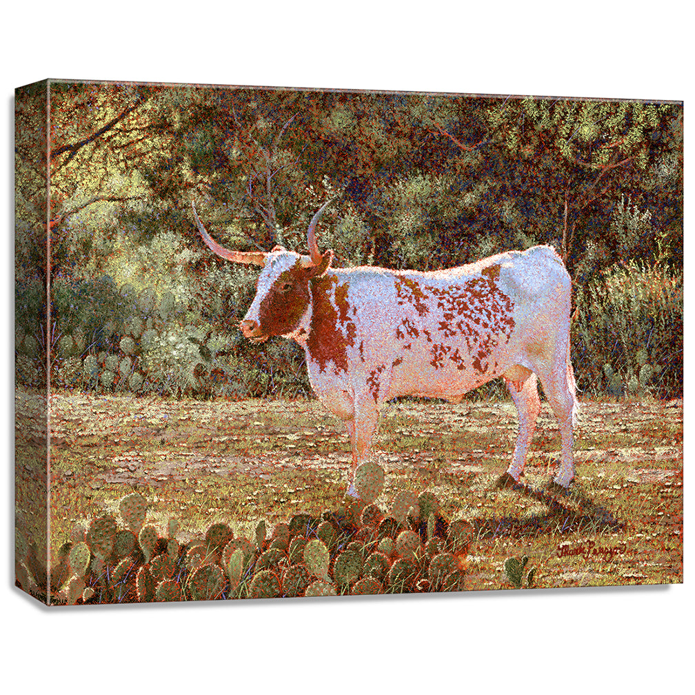 gallery wrapped print on canvas
depicting a backlit longhorn
standing in a field near kingsland, texas