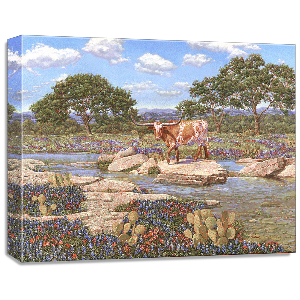 gallery wrapped print on canvas
depicting a longhorn near a
creek with the wildflowers bluebonnets and Indian paintbrushes