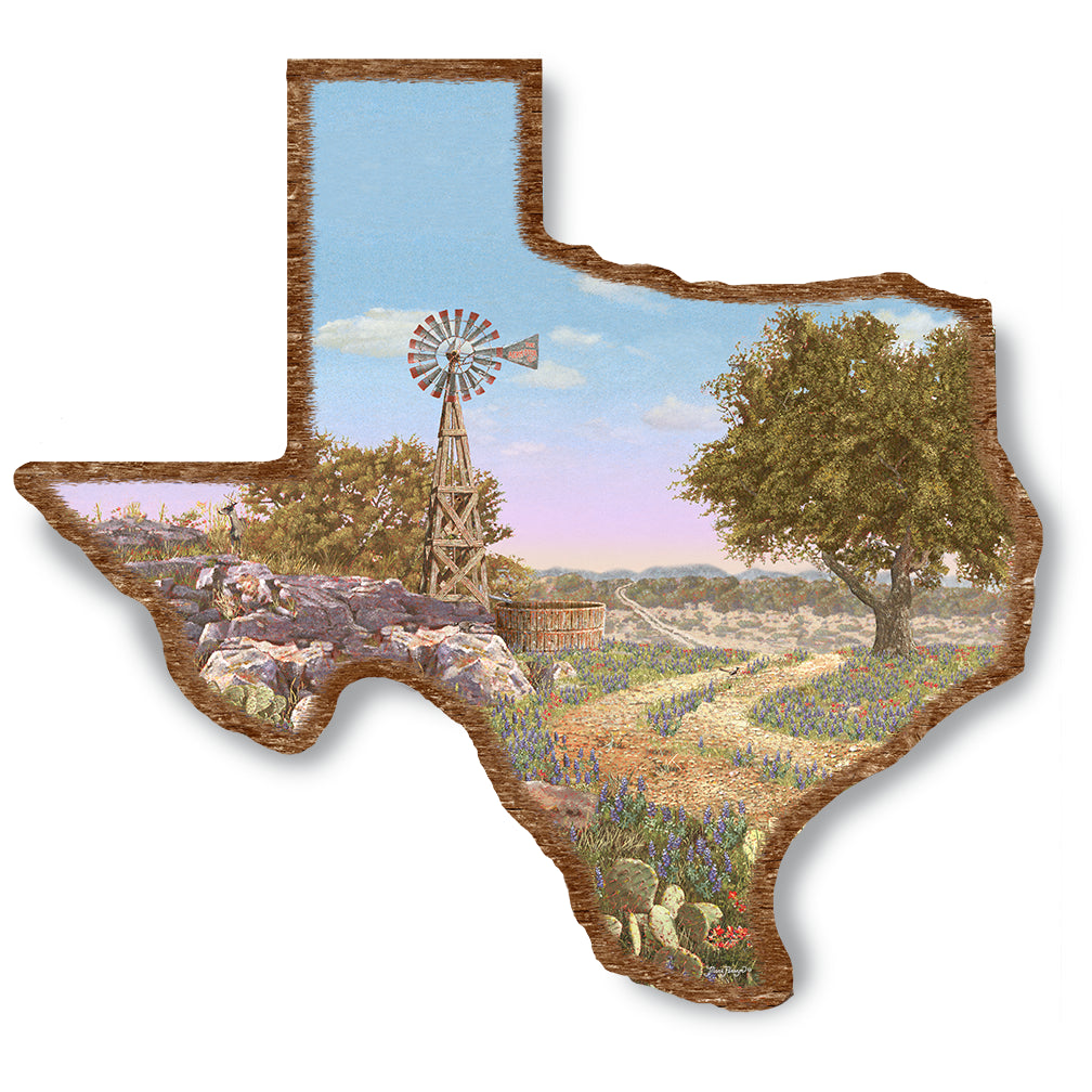 Wildflower Trail On Wood Texas